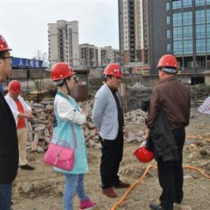 ���գ������hס����ᘌ��ڽ�����չ�_�����O(sh��)�䌣�(xi��ng)�z��