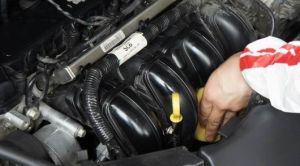 ���������l(f��)��(d��ng)�C(j��)�������c�γɵ�ԭ��